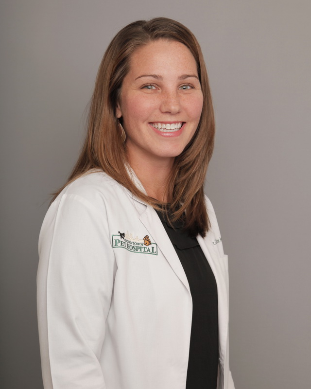 Our Team - Dr. Brooke Minton | Downtown Pet Hospital