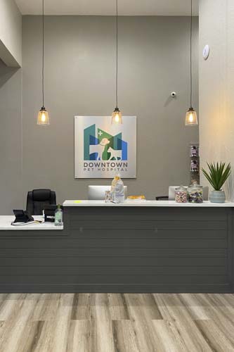 About Us - Our office | Downtown Pet Hospital