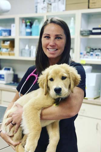 Veterinary Services in Orlando, FL | Downtown Pet Hospital